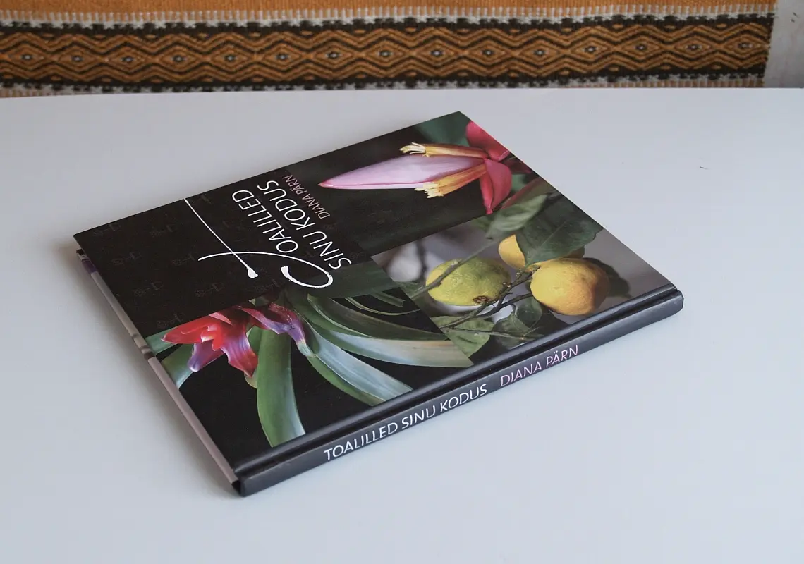"Toalilled sinu kodus" 2009a Diana Pärn